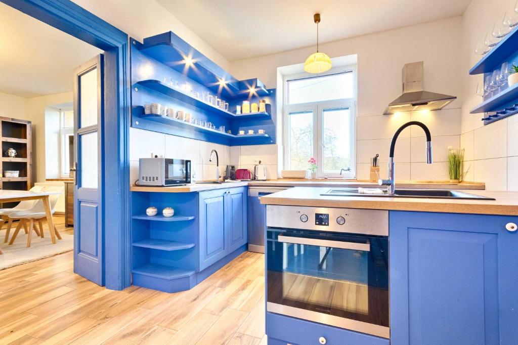 DobrohořChalupa Česká Kanada的蓝色的厨房设有水槽和炉灶