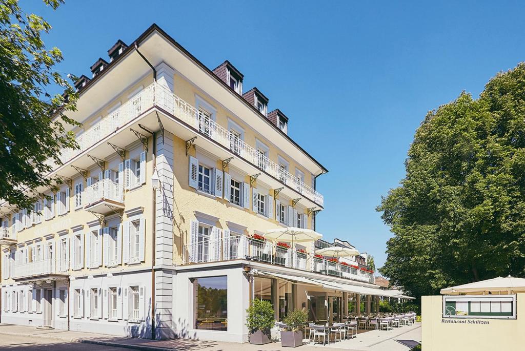 莱茵费尔登苏曾莱茵费尔登酒店的街道上带阳台的大型白色建筑