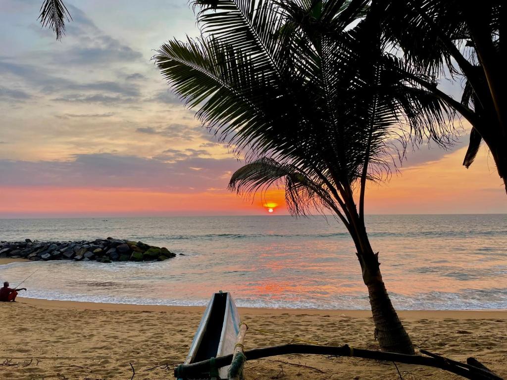 卡卢特勒Aprima Hotel的海滩上的棕榈树与日落