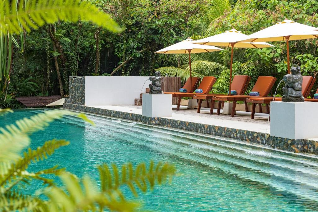 美娜多Thalassa Dive & Wellbeing Resort Manado的一个带椅子和遮阳伞的游泳池