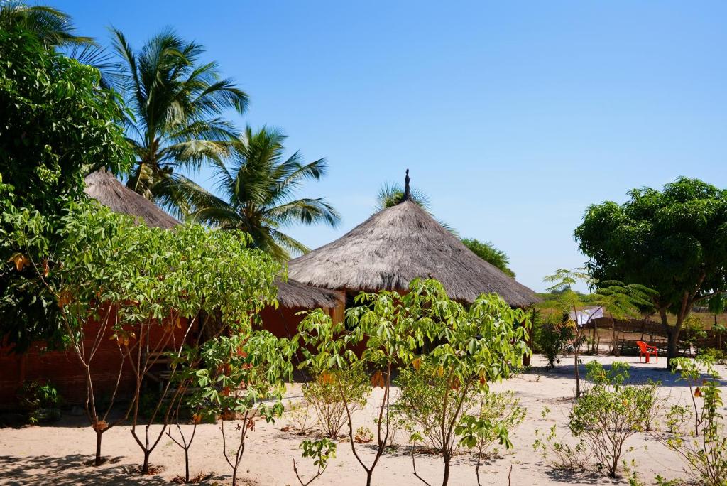 KachiouaneCampement Kaymba Lodge的海滩上几间树屋