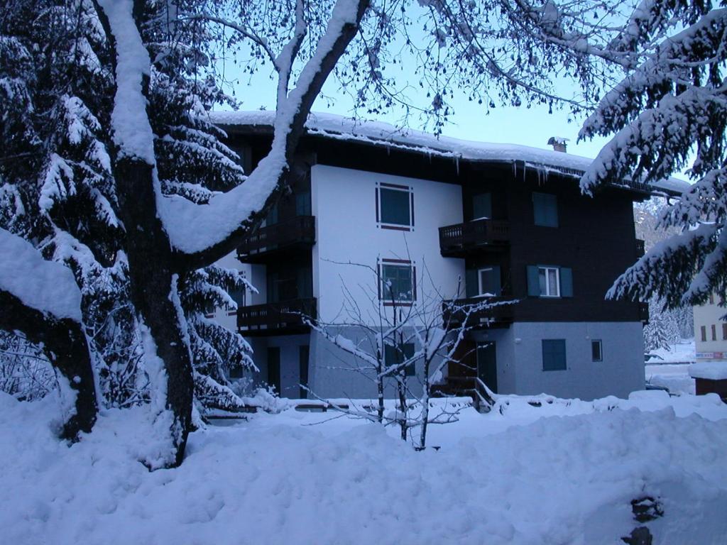 坎皮泰洛迪法萨Appartamento Niki Campitello的前方有树,被雪覆盖的房子