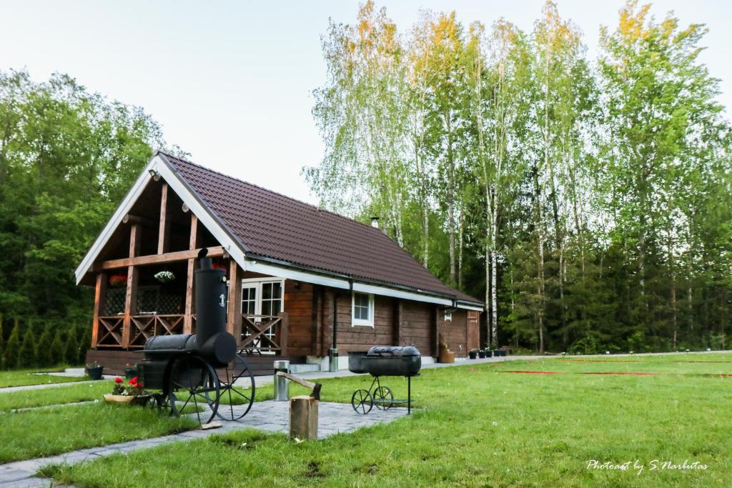 约纳瓦Sodybos Narūnas namelis dviems的庭院内带烧烤架的小小木屋