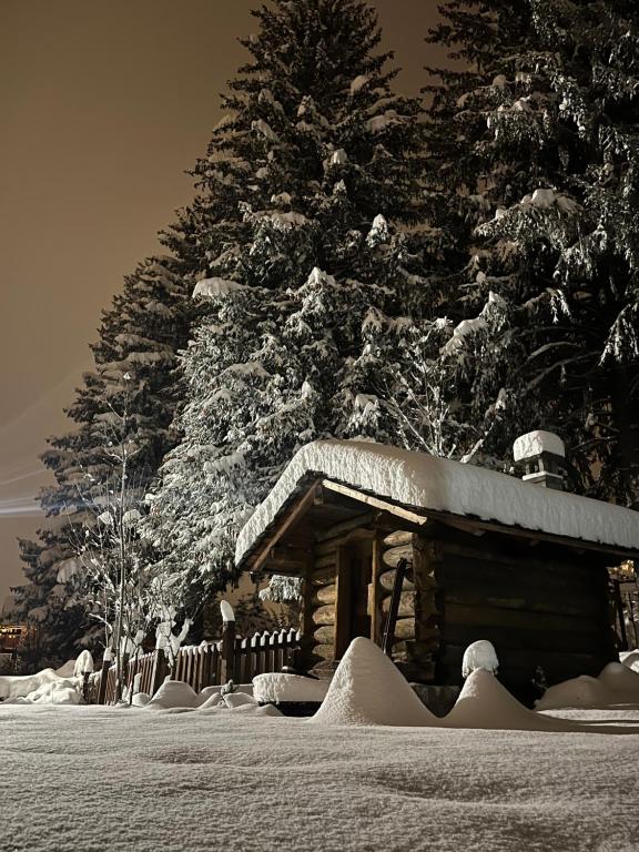 库马约尔Chalet Blanc "Le Flocon"的圣诞树旁的雪覆盖小屋