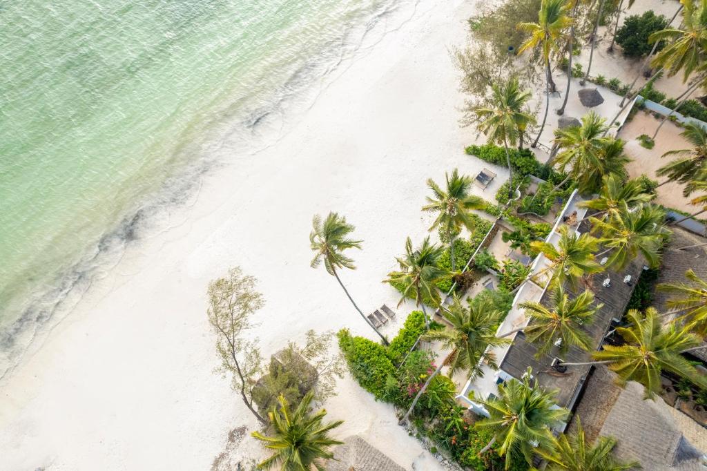 吉汶瓦Surfescape Zanzibar的棕榈树海滩上方的景色