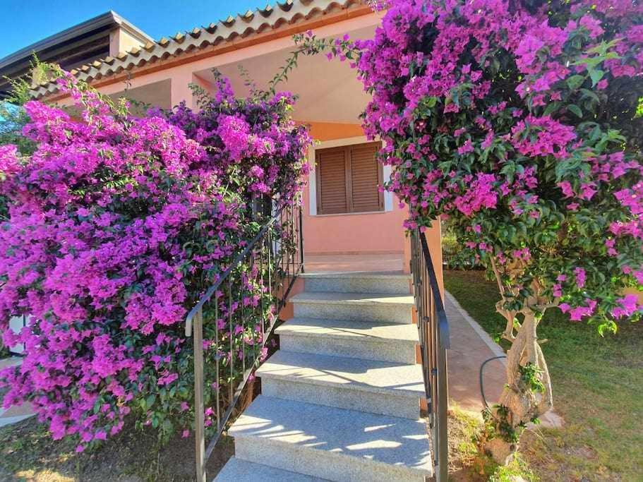 阿尔巴塔克斯Casa Vacanze lOlivastro的一座房子楼梯上的一束紫色花