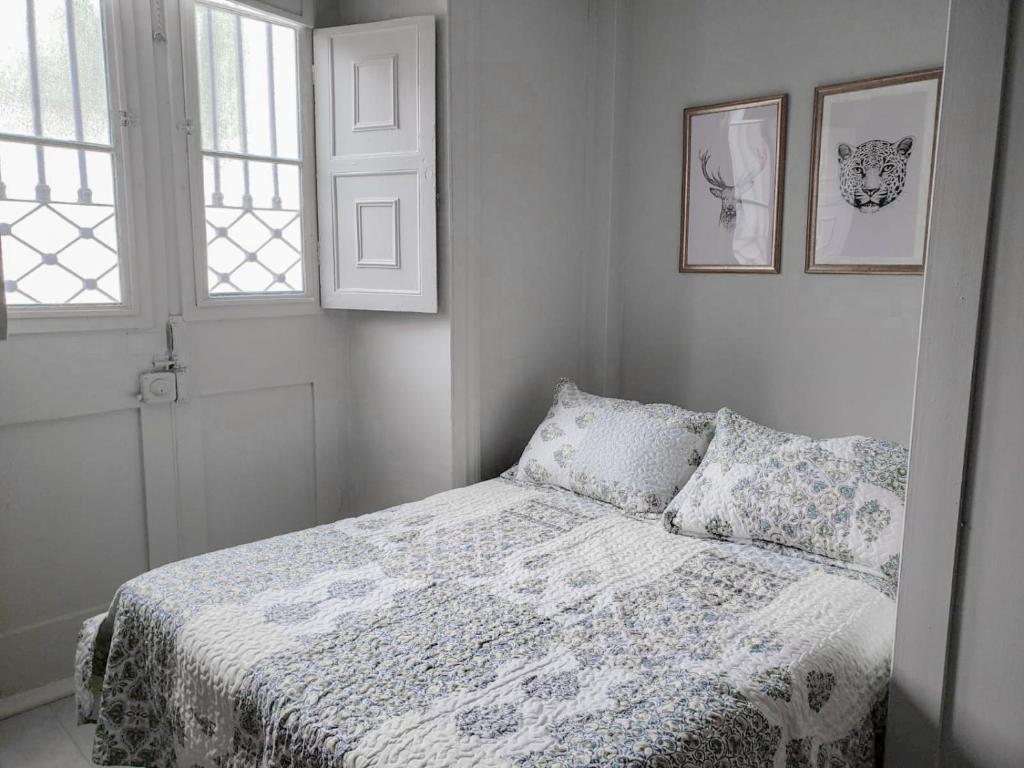 拉塞雷纳Casa Hostal Paso por La Serena的一间卧室配有一张带毯子的床和两个窗户