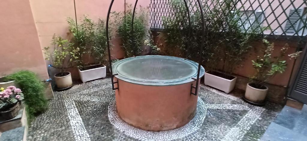 米兰Luxury House Lupetta 3的一大块金属桶,紧靠着一堆盆栽植物