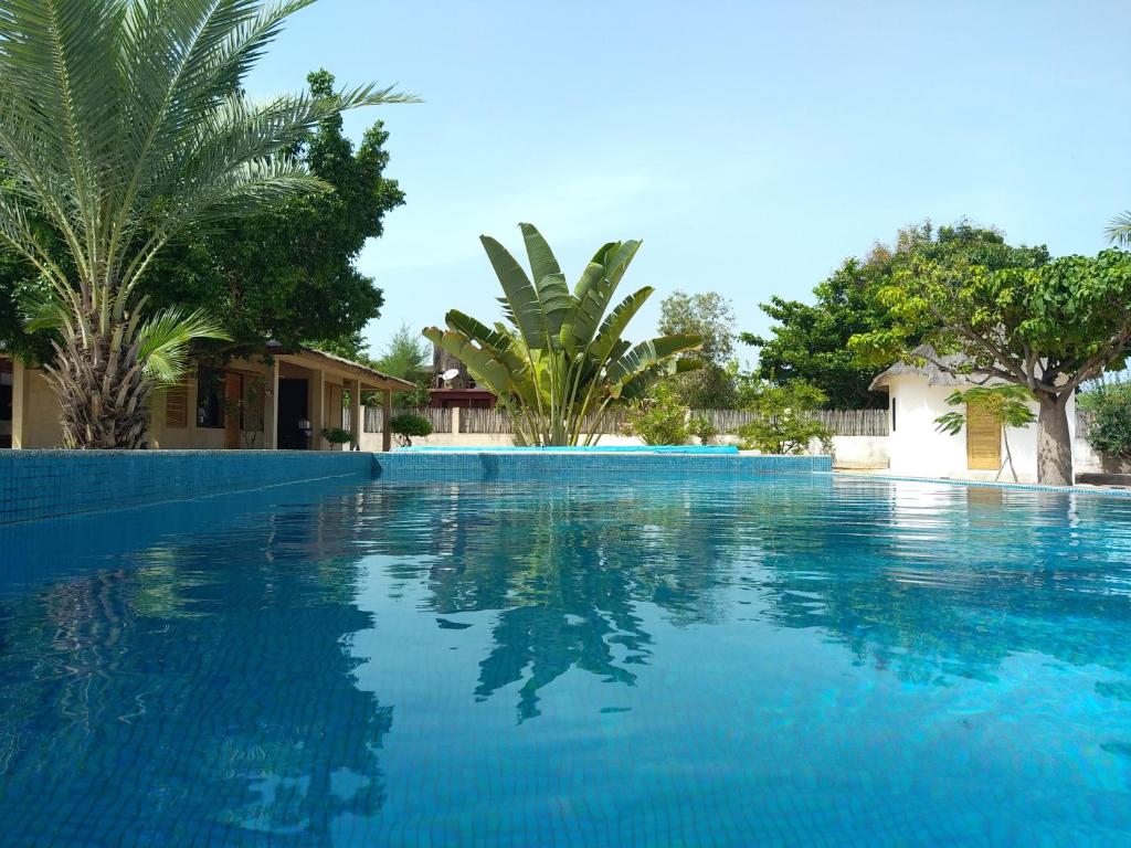 PalmarinLE 17 to DJIFFER的一座拥有蓝色海水和棕榈树的游泳池