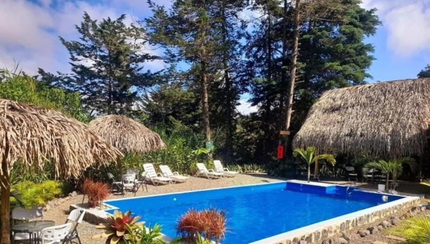 迦太基Cabañas Cerro Verde Lodge y Spa的一个带椅子和茅草屋顶的度假游泳池
