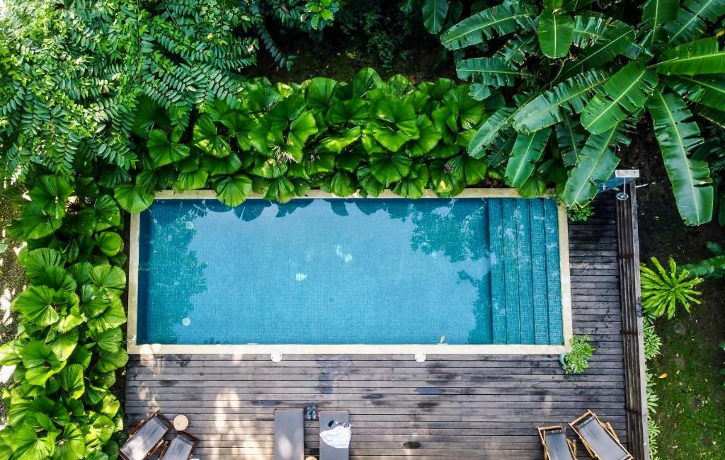 别霍港Satta Lodge的享有种植了植物的游泳池的顶部景致