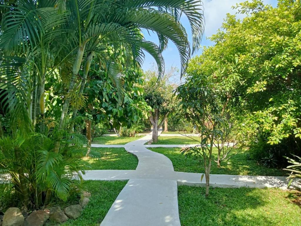 班邦宝邦宝小屋旅馆的一条穿过棕榈树花园的小路