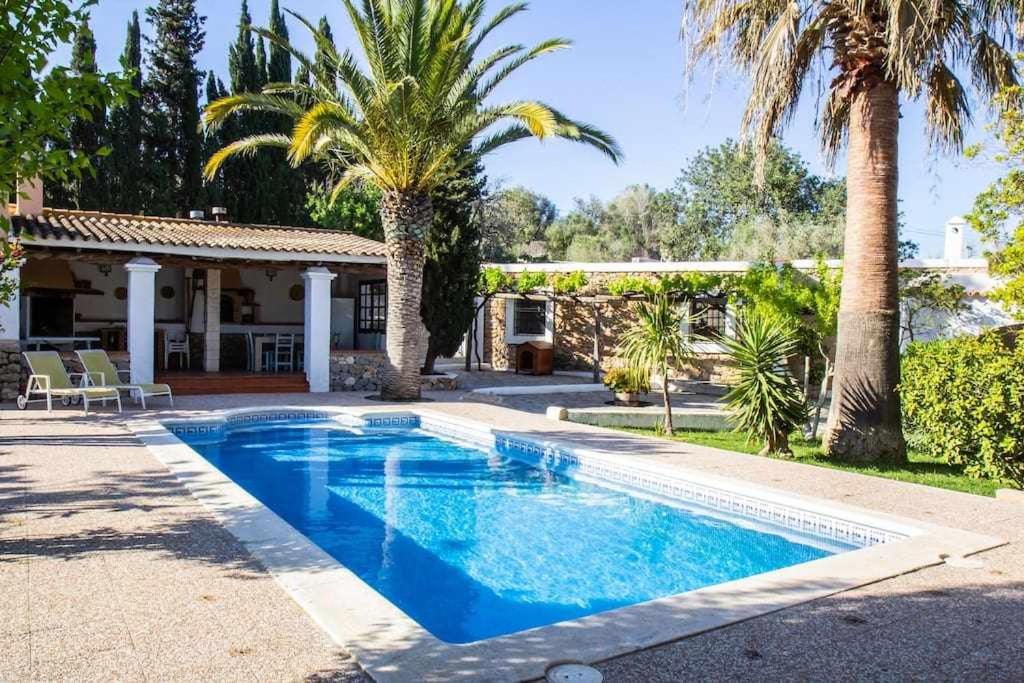 MontecristoCan Valencià的棕榈树屋前的游泳池