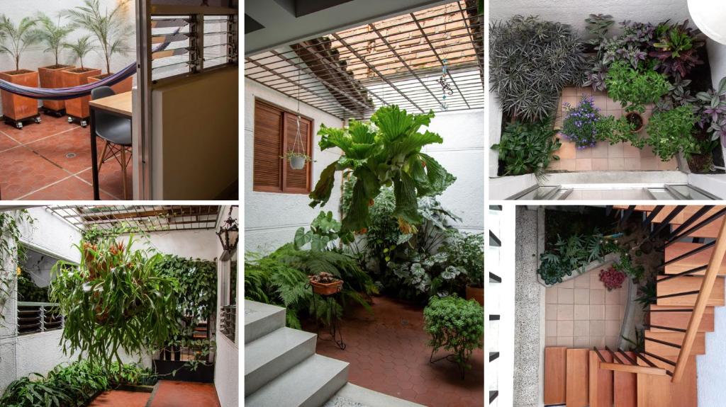 麦德林CASA DE LOLA的植物建筑物照片的拼贴