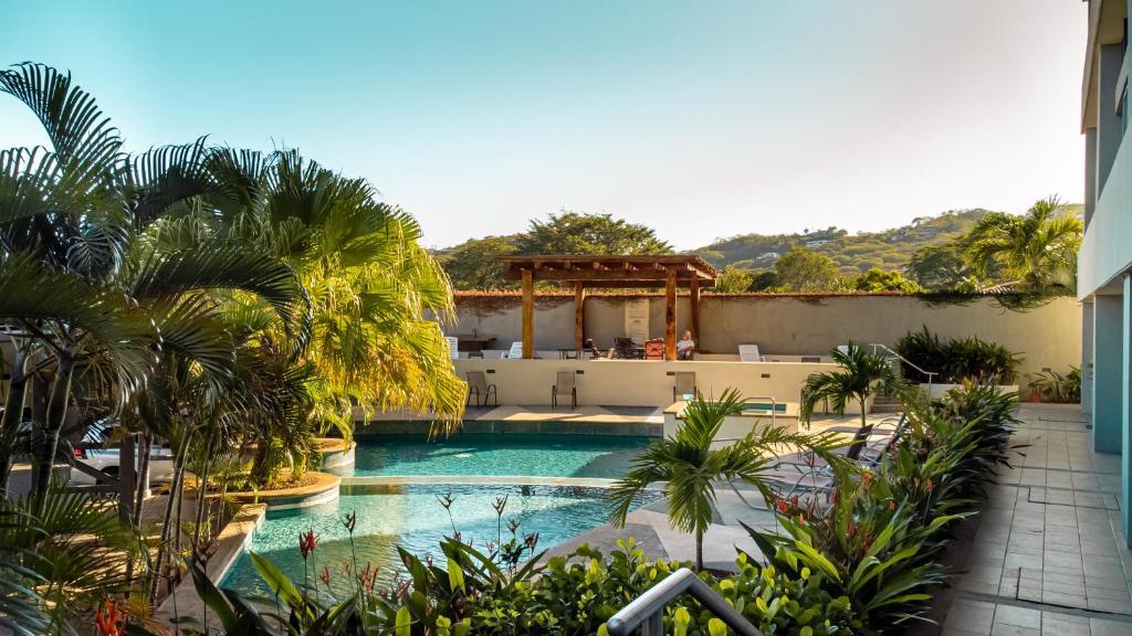 普拉亚埃尔莫萨CasaGuana的棕榈树度假村内的游泳池