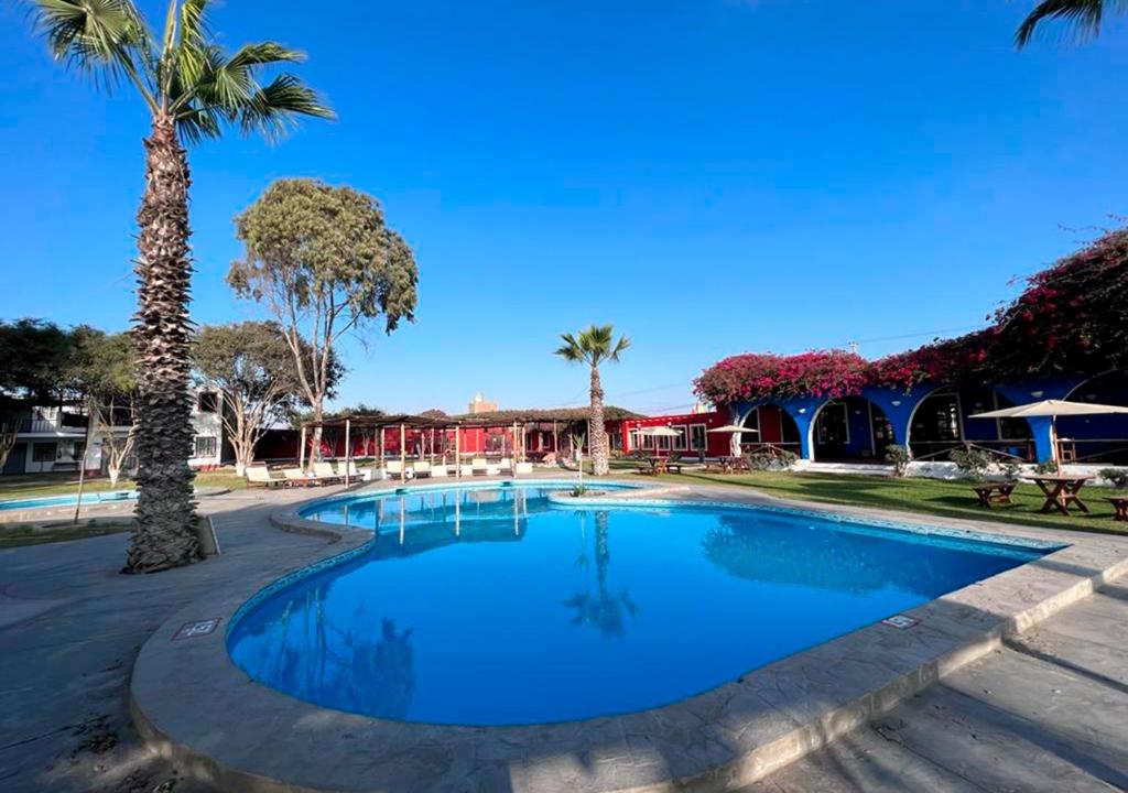 上钦查La Estancia Chincha Hotel的一座棕榈树游泳池和一座建筑