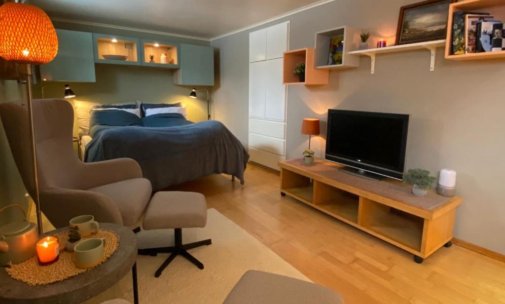 桑讷菲尤尔Leilighet sentralt til Sandefjord og Torp flyplass的一间卧室配有一张床和一台电视