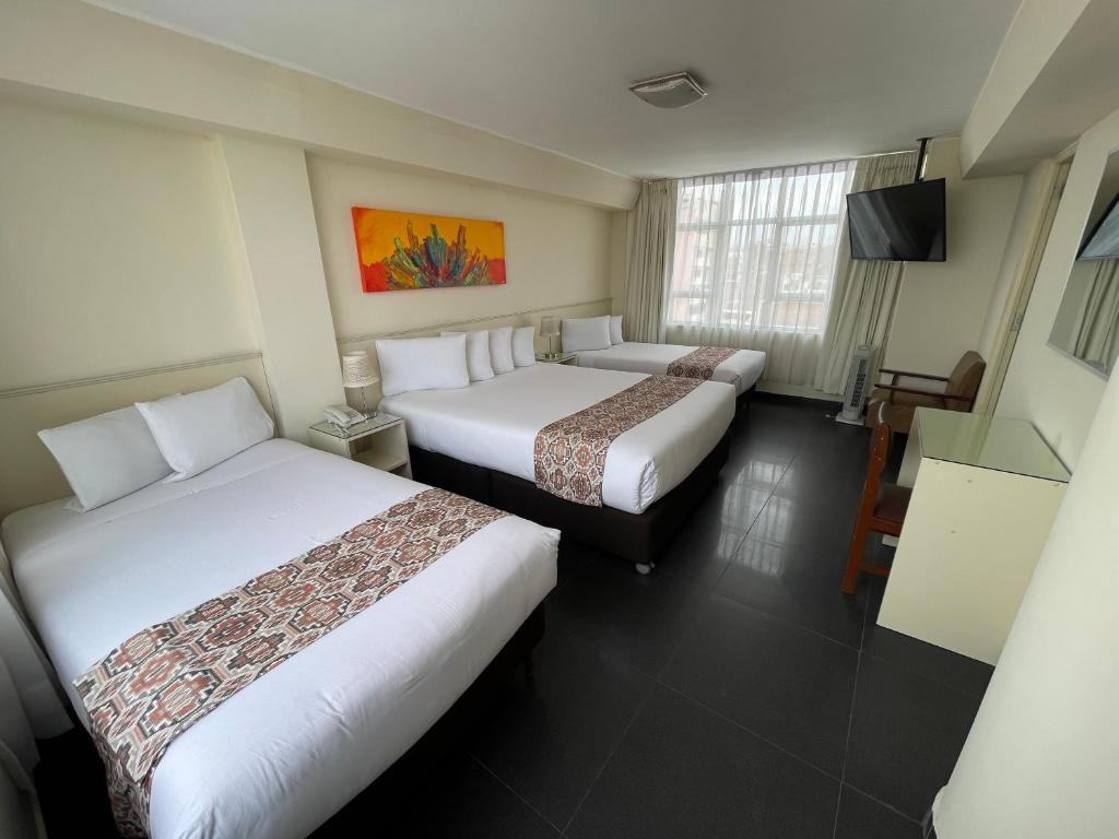 塔克纳普利米尔酒店的酒店客房设有两张床和电视。