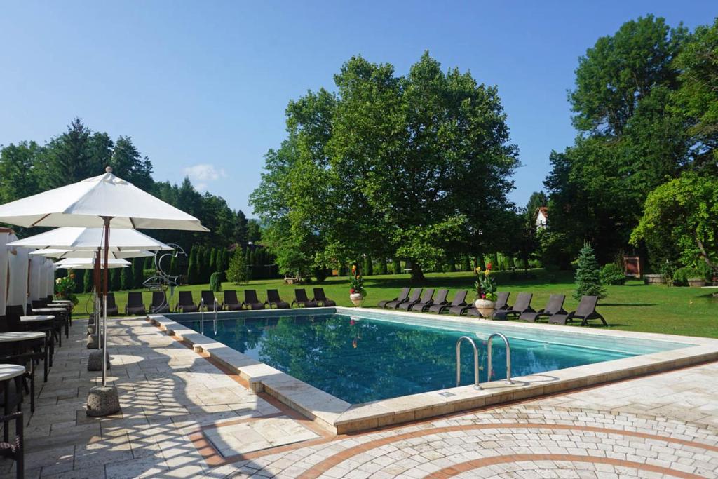 Eibiswald克鲁普菲客乐花园酒店的一个带椅子和遮阳伞的游泳池