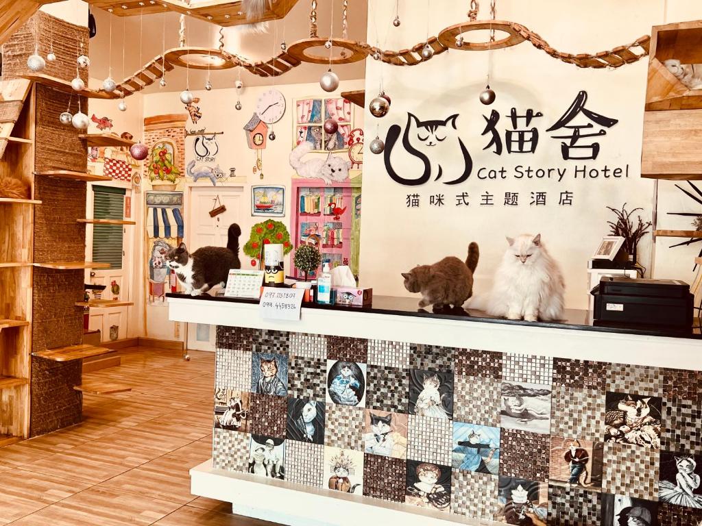 芭东海滩猫舍酒店的藏在架子上的猫店