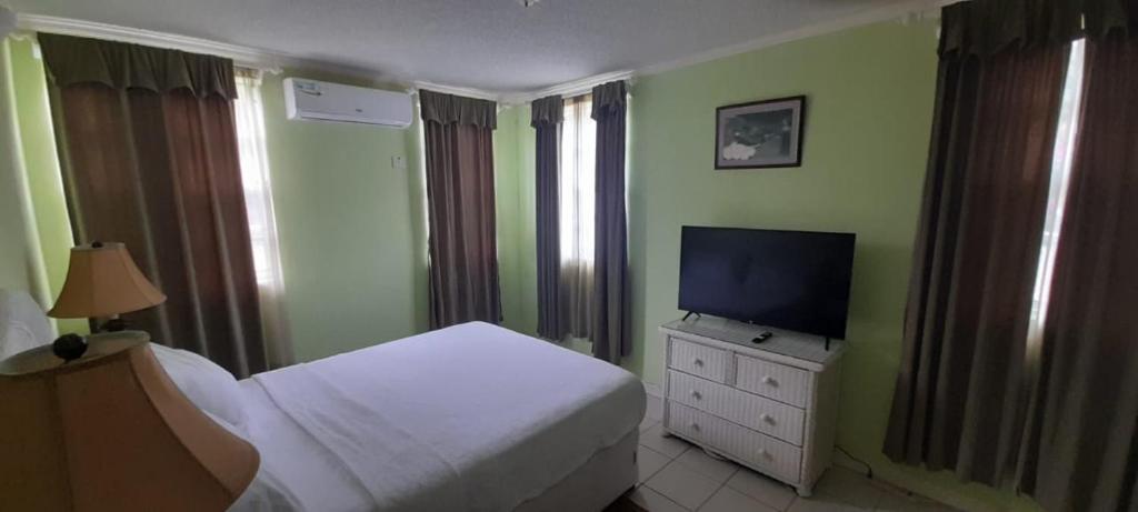 Cap EstateBurns' Apartment的一间卧室配有一张床和一台平面电视