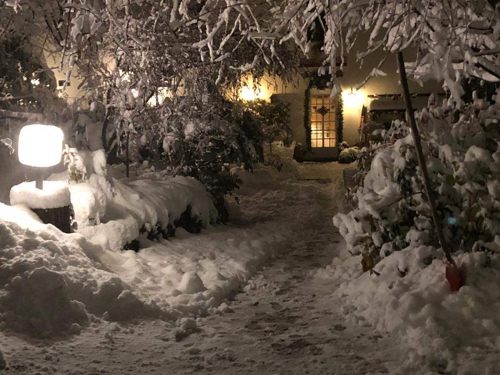 利扎诺-因贝尔韦代雷费多拉别墅公寓的夜间雪覆盖着的一条路,灯