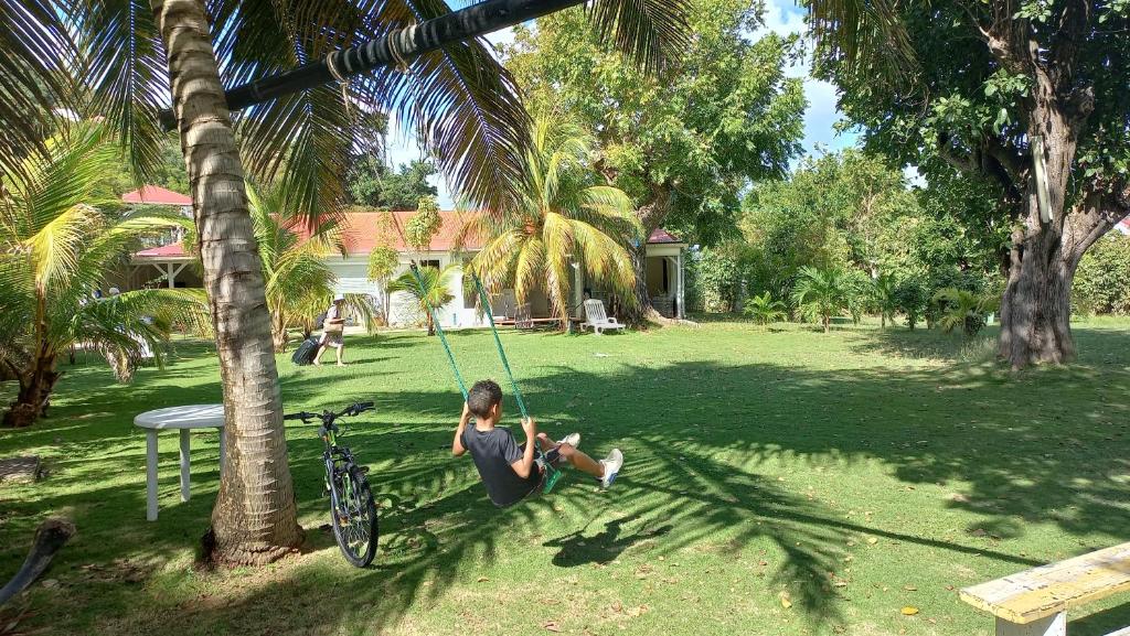 豪特尔勒普瑞乡村公寓式酒店的坐在棕榈树上秋千的男孩