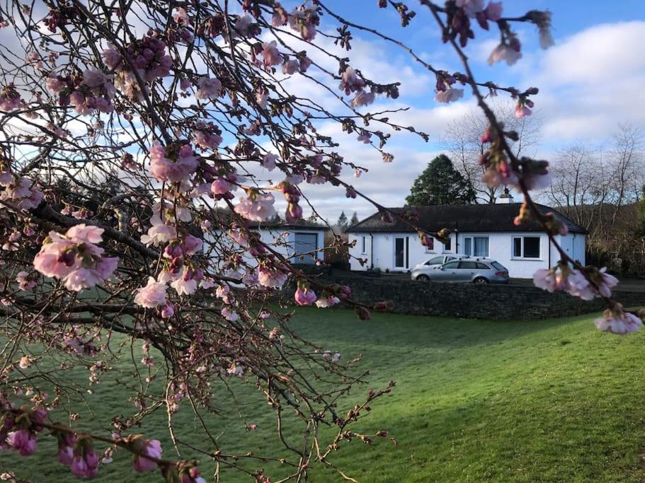 温德米尔Meadowside Troutbeck Bridge, Windermere sleeps 5-6的一座房子,里面装有一辆汽车,停在一个有粉红色花的院子中