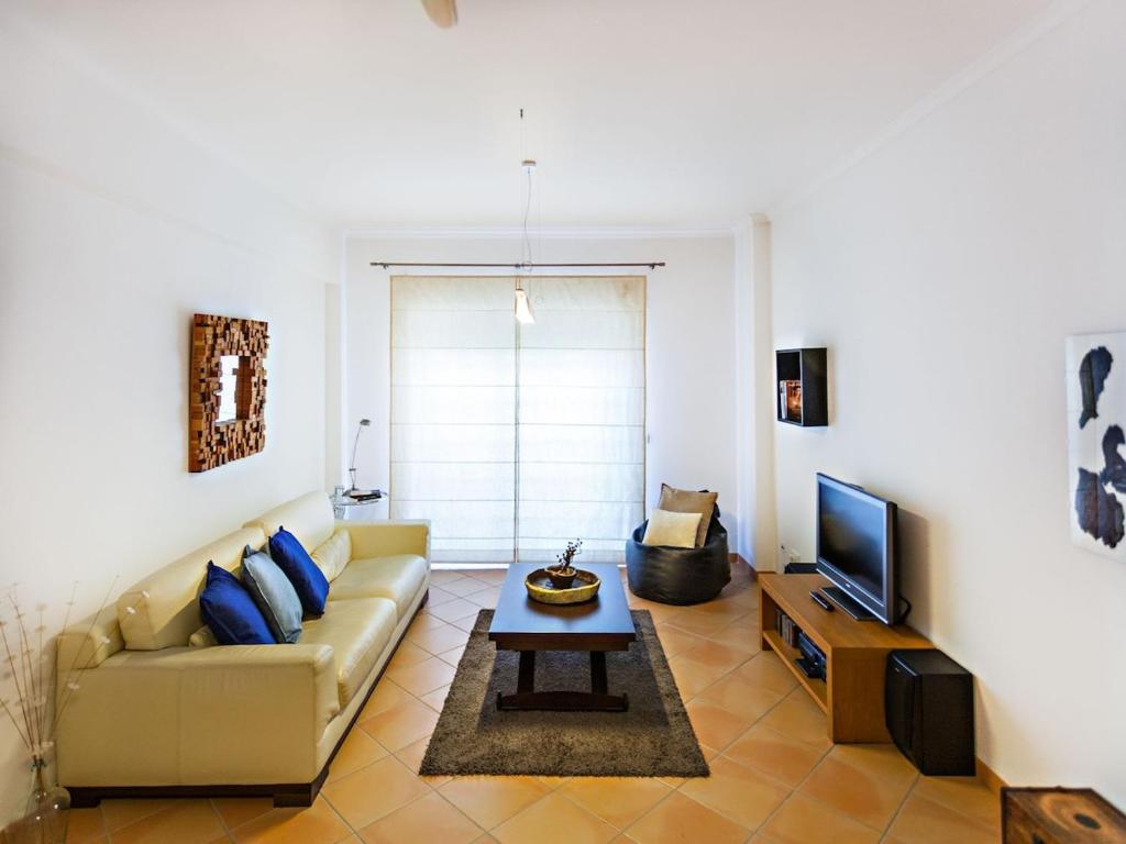 法鲁Alameda Apartment的带沙发和电视的客厅