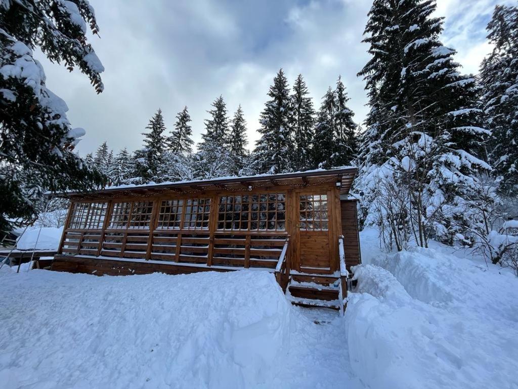 多纳瓦利Chata Bella Mistríky的雪中小屋,有雪覆盖的树木