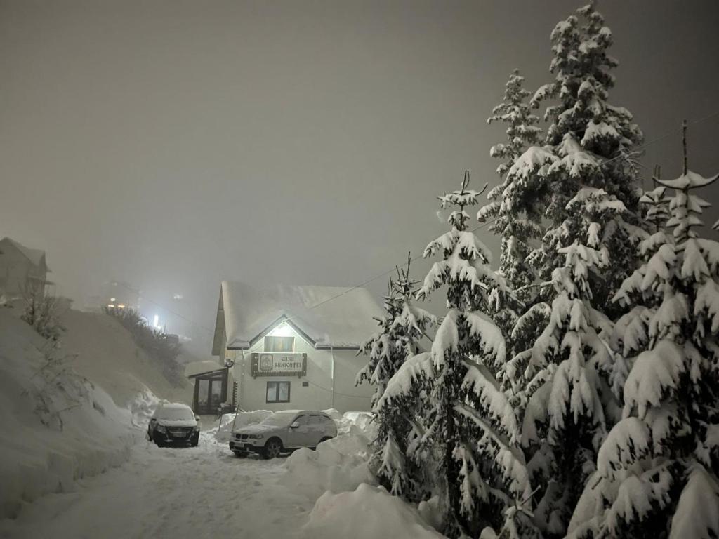 兰卡Casa Bunicutei的房子前的雪覆盖的圣诞树