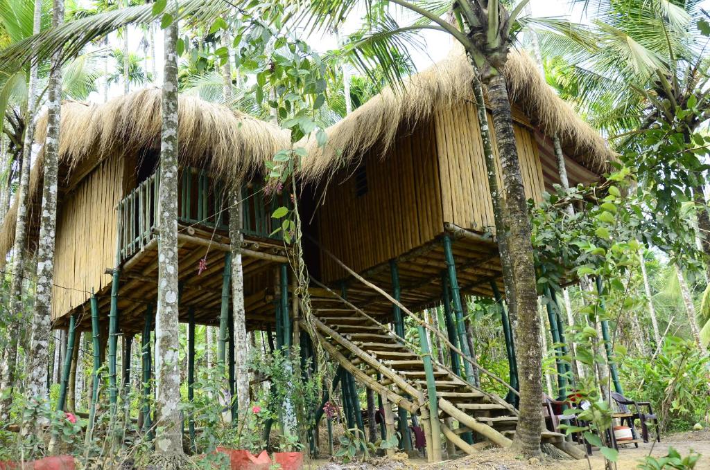 Greenways Tree House and Mud House平面图