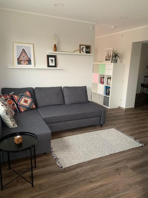 卡梅拉瓦Cozy apartment in Karmelava的客厅配有沙发和桌子