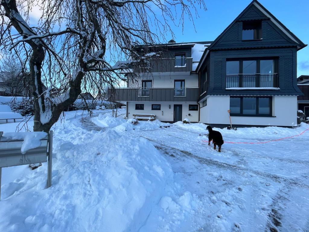温特贝格Astrid's Pension的狗站在房子前面的雪地里