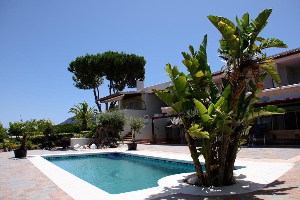 阿尔豪林德拉托里B&B Casa Oceo - Málaga - Andalusië的棕榈树屋前的游泳池