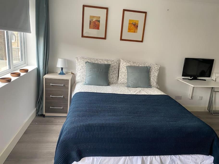 伦敦Studio Apartment in Seven Sisters的一间卧室配有一张带蓝色棉被的床和一台电视机