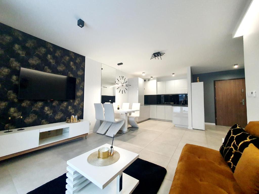 索斯诺维茨Konopnickiej 88 Cosy Apartment的带沙发和电视的客厅