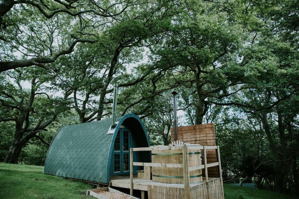 巴茅思Willow SPECIAL WINTER OFFER - Hot tub & Log burner的蓝色圆顶房子,在草地上设有栅栏