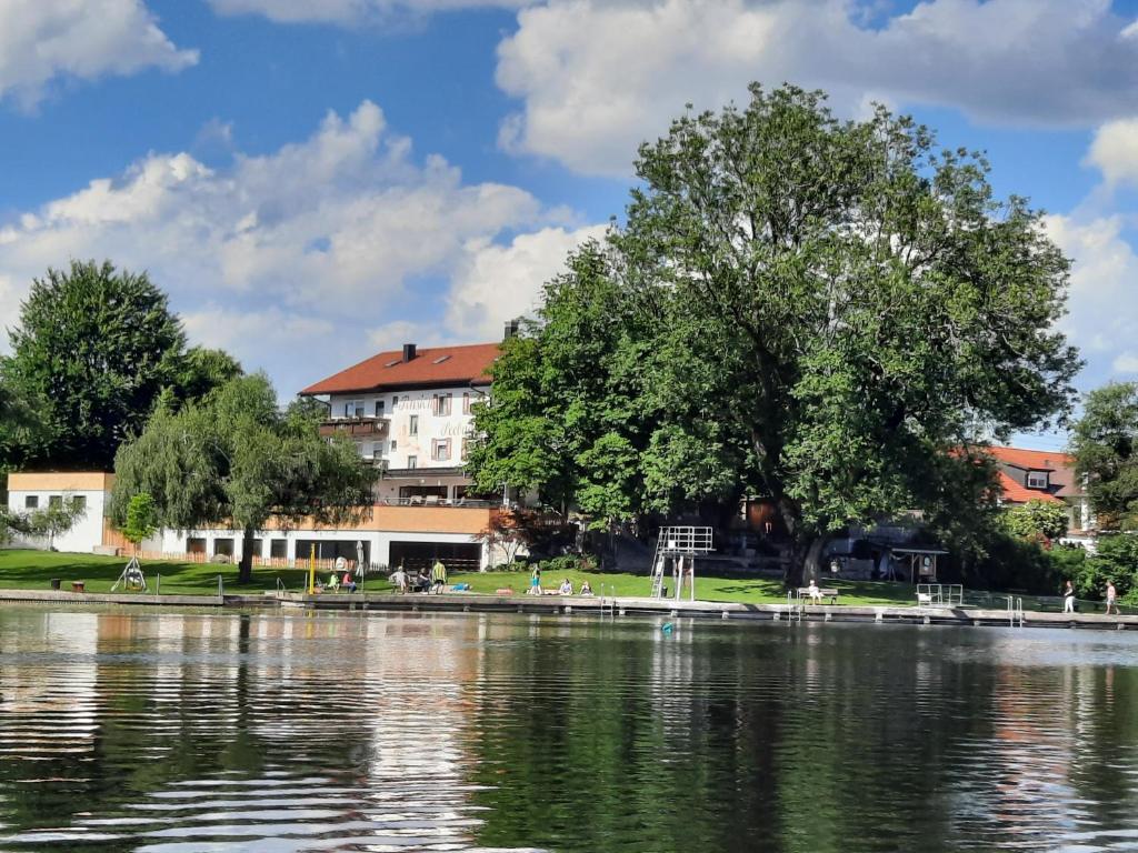 苏尔茨贝格Hotel-Pension Seebad "Seegenuss-Natur-Spa"的湖边的树