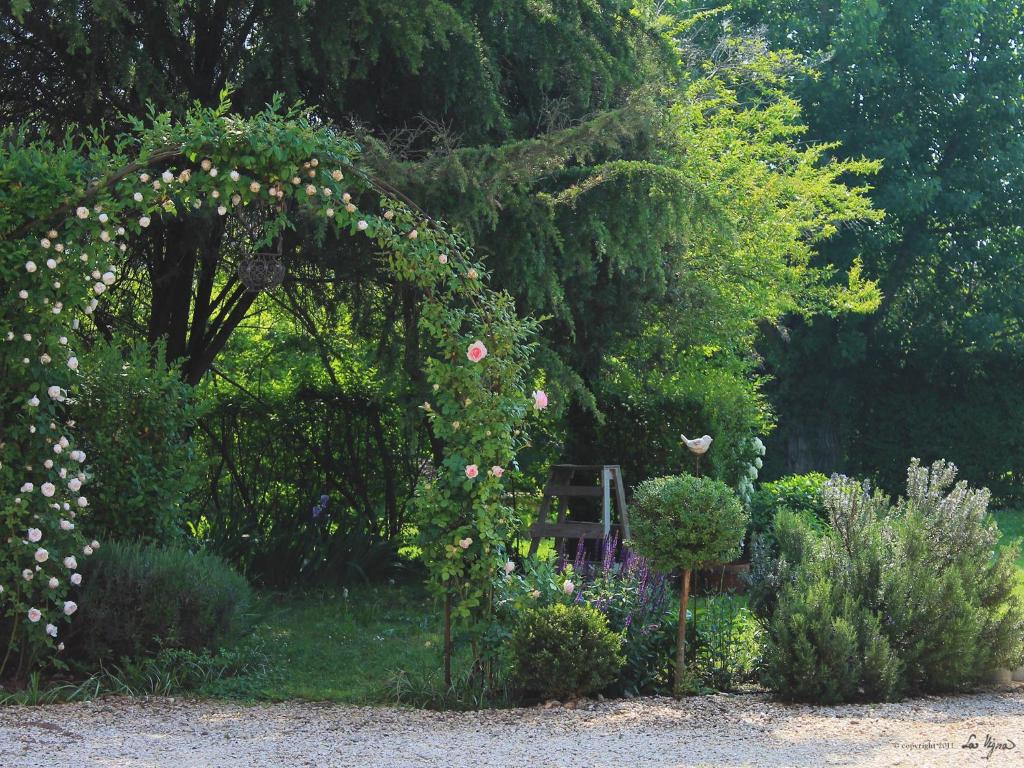 特雷维索La Vigna B&B的一座种植了鲜花和植物的拱形花园