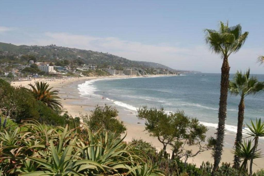 拉古纳海滩Laguna Shores Studio Suites的享有棕榈树海滩和大海的景色