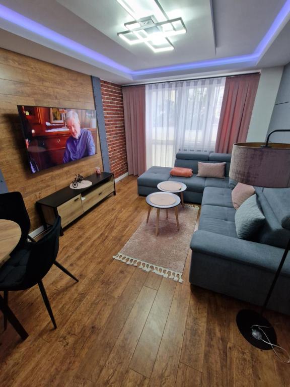 新松奇APARTAMENT SĄDECKA OSTOJA的带沙发和电视的客厅