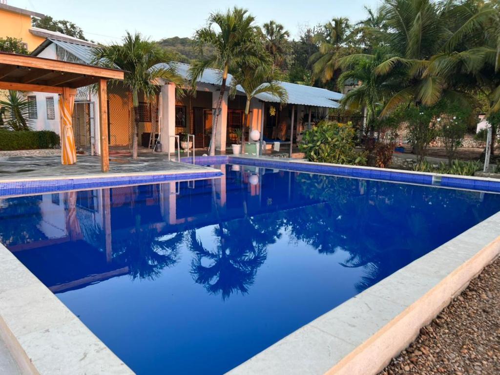 巴拉奥纳省圣克鲁斯Hotel Al Mare的棕榈树屋前的游泳池