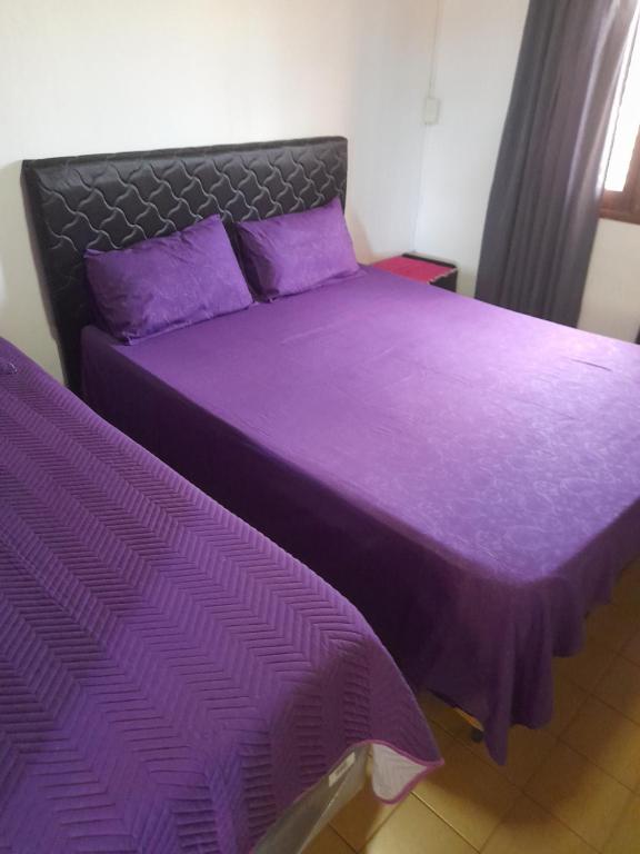 恩卡纳西翁AparWil的卧室内的两张床和紫色床单
