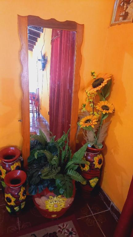 LuqueHospedaje Luque的一团花瓶,在屋子里栽有植物