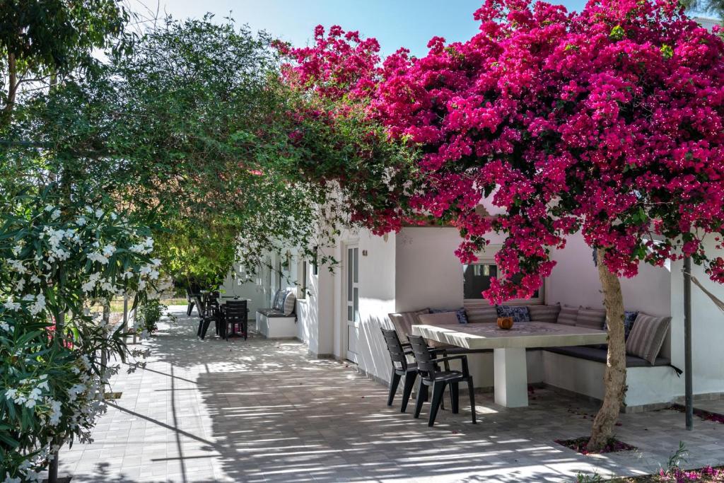 普拉基亚斯Vrisidia Cottage - Nature, Seaview & Relax的树下摆放着粉红色花朵的桌椅