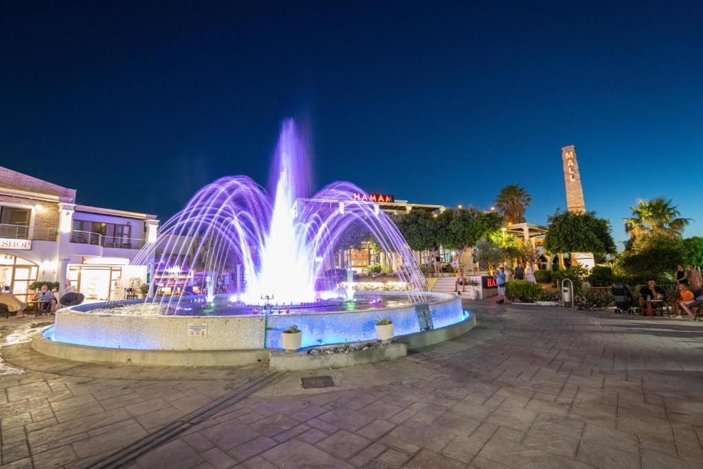 蒂加基Tigaki Mall Hostel的城市的喷泉,晚上有紫色的灯光