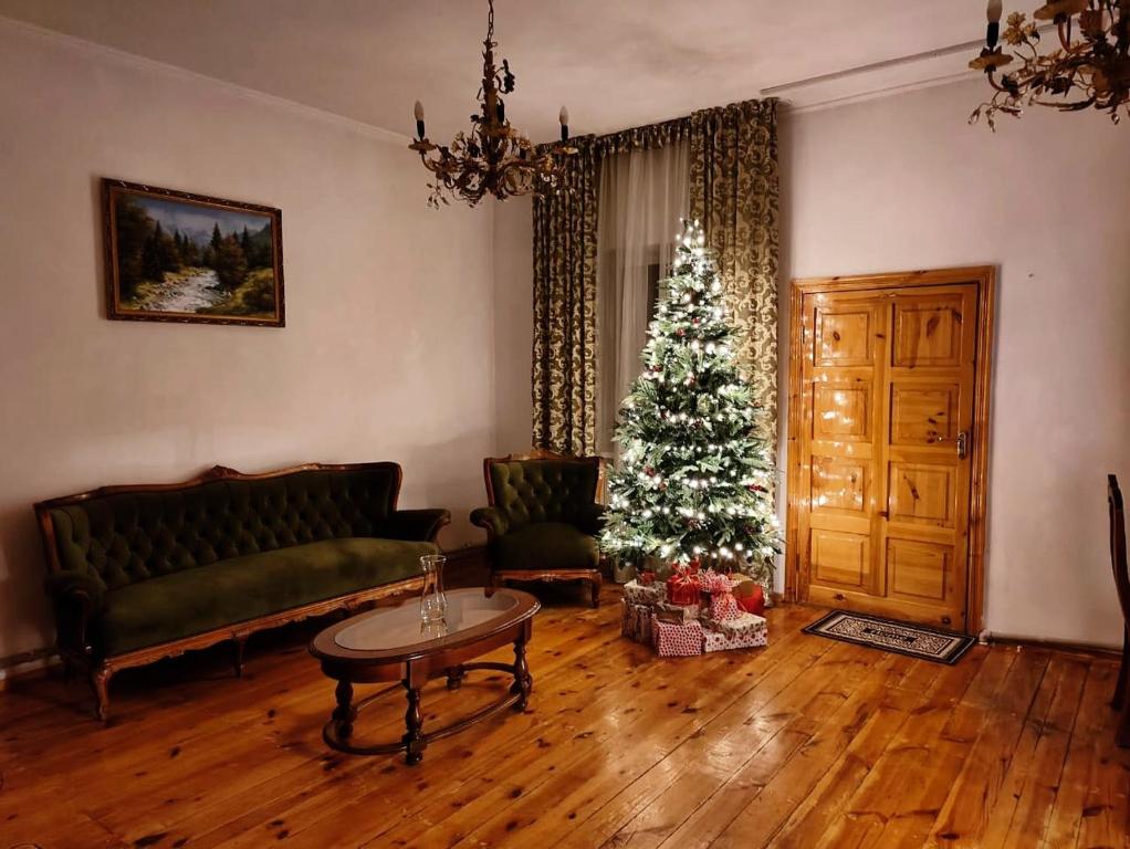 阿拉木图Sweet Vibe Home的客厅配有圣诞树和沙发