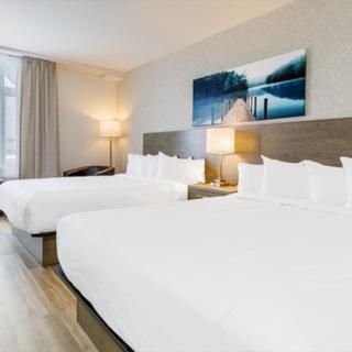 莱维斯Repotel Levis的酒店客房设有两张床和窗户。