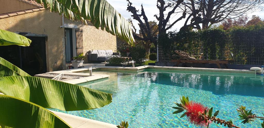 巴邦塔纳Les Cigales的一座大型游泳池,旁边是一座绿色植物的游泳池